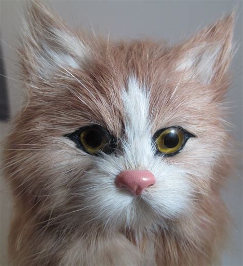 realistic stuffed kitten|realistic stuffed cats for adults.